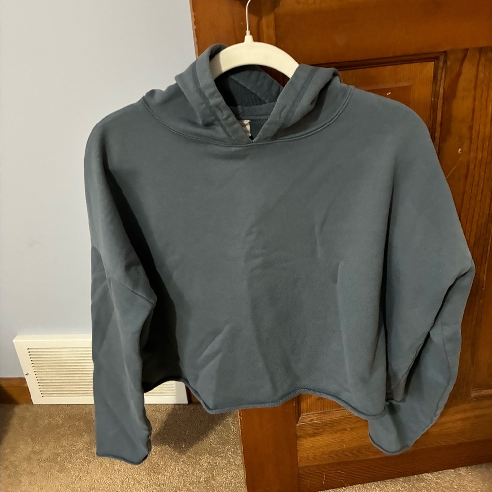 Alo Cropped Hoodie